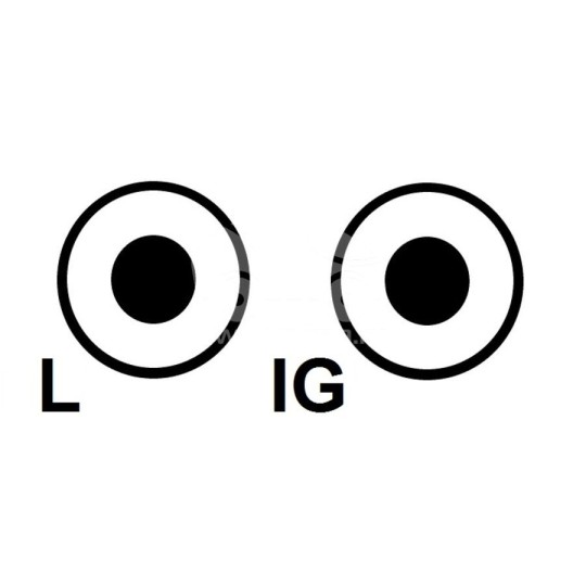 ARQ2456 Jeneratör regülatörü