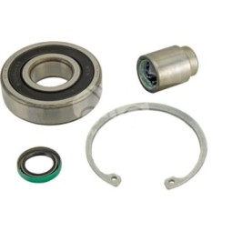 AZP1831 Jeneratör tamir kiti