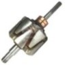AVA3401 Alternatör Rotoru