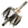 AVA5893 Alternatör Rotoru
