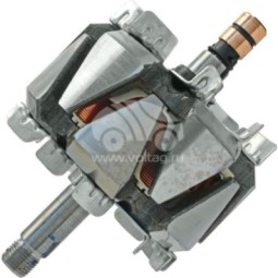 AVB1671 Alternatör Rotoru