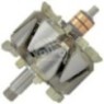 AVM1268 Alternatör Rotoru