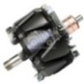 AVM2474 Alternatör Rotoru