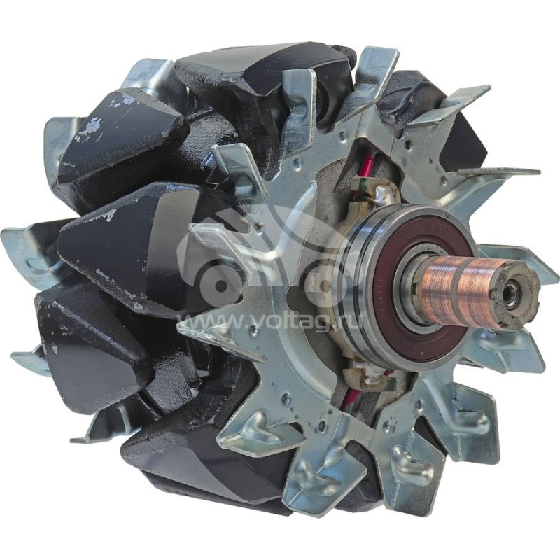 AVQ1169 Alternatör Rotoru