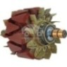 AVQ1204 Alternatör Rotoru
