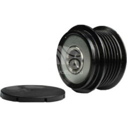 APV8801 Alternatör Kaplin Kayışı